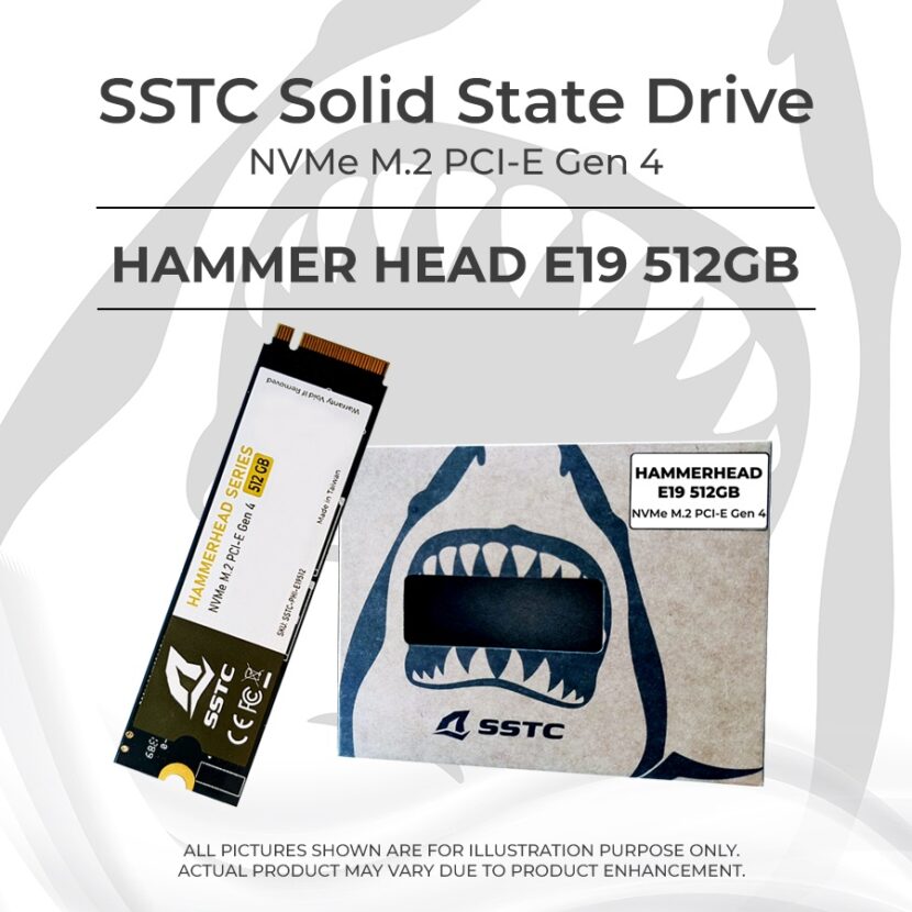 Ổ Cứng SSD SSTC Phi E19 512GB M.2 NVMe PCIe Gen 4.0 x4 (3600/3000 MB/s)